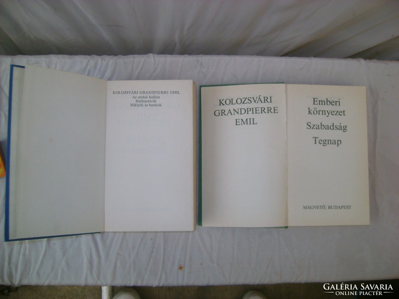 Kolozsvári Grandpierre Emil két könyve