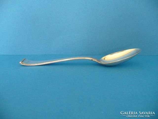 Silver medicinal spoon (also recommended for children due to its antiseptic effect)