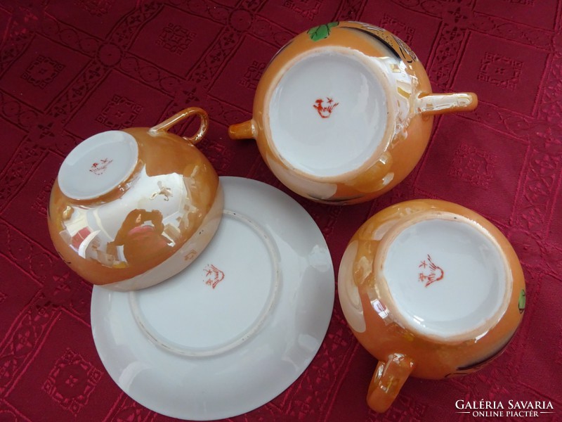 Japán minőségi porcelán  5 személyes teáskészlet,  Vanneki!