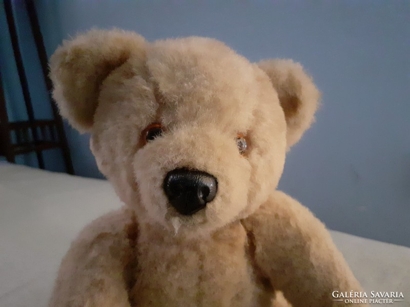 Cute teddy bear 31 cm