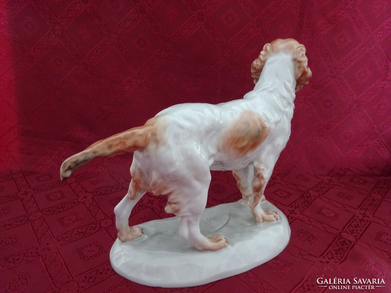Herend porcelain dog, length 31 cm. He has!