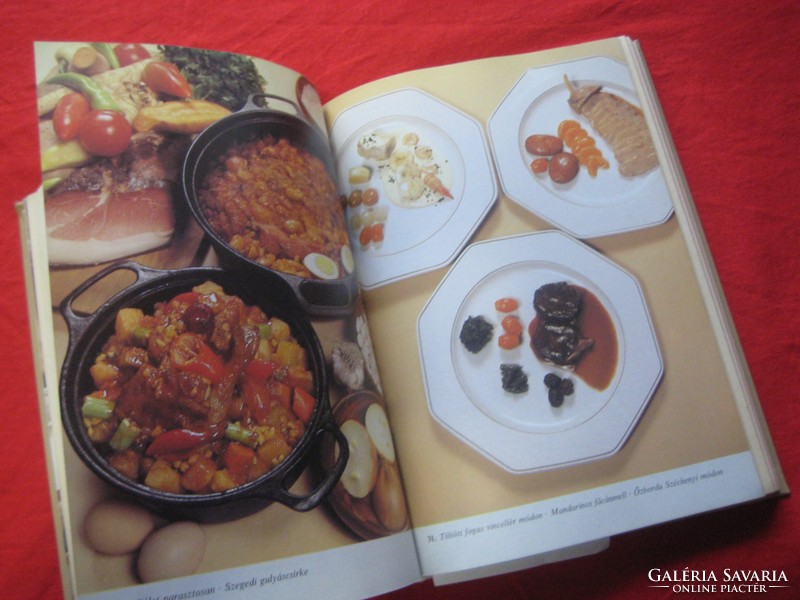 Recipe book by Lukácsnov - great master chefs on 470 pages