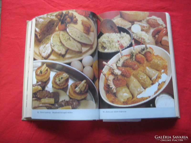 Recipe book by Lukácsnov - great master chefs on 470 pages