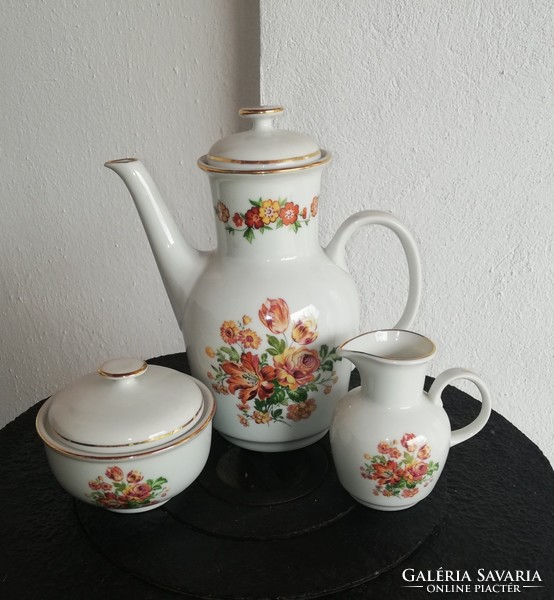 Mz czechoslovakia flower coffee pot, sugar bowl, cream, cream pourer,