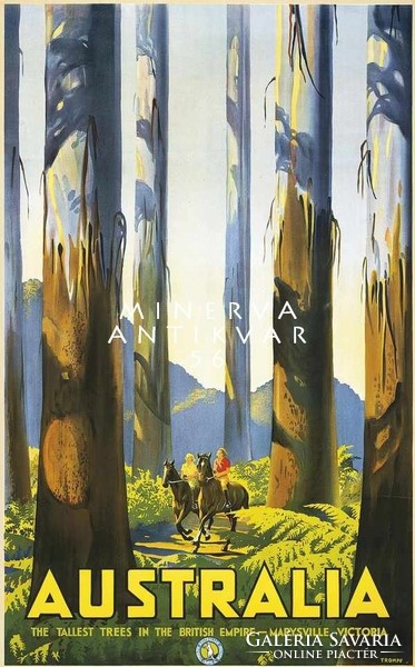 Terep lovaglás erdőben, óriás fák, sport utazási reklám Ausztrália 1936 Vintage/antik plakát reprint