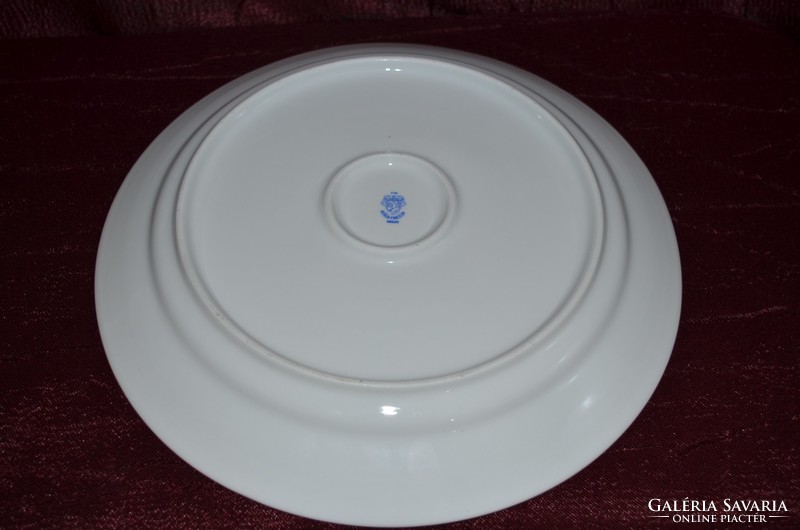 Alföldi porcelán centrum varia nagy sütis tányér  ( DBZ 00107 )