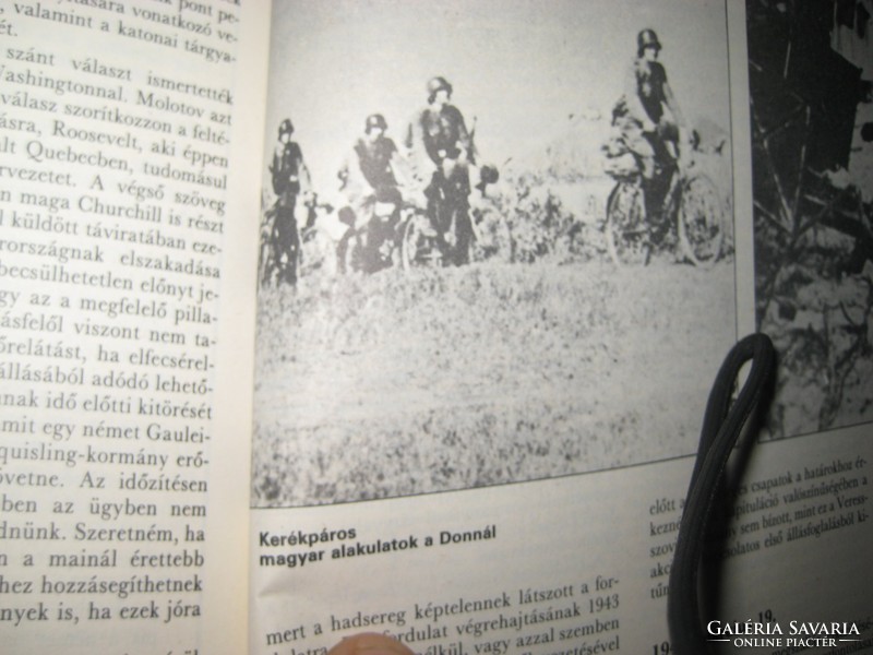 Hungarians in the Carpathian Basin 355 pages