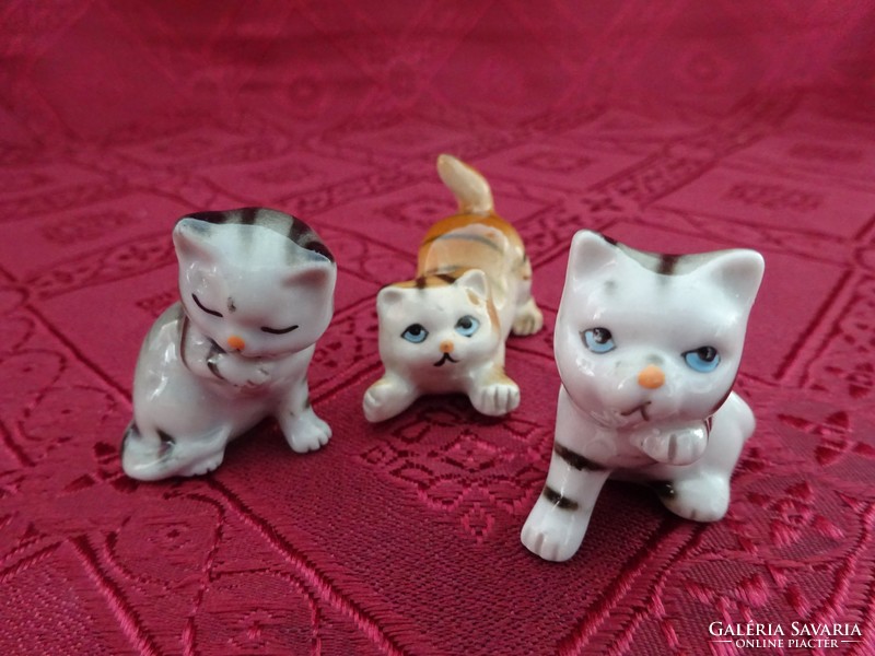 Porcelain kitten, different shapes. He has!