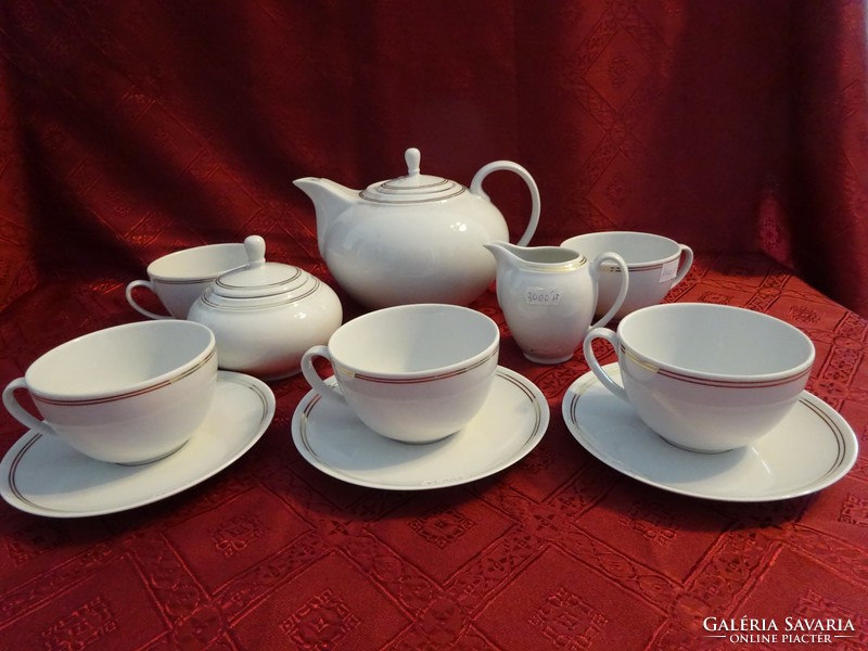 Lowland porcelain tea set for five people. 11 Pieces. He has!