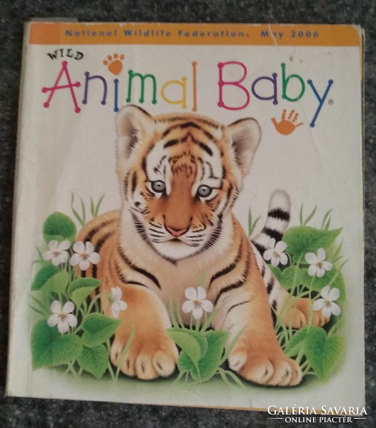 Wild animal baby. Állatos képes és foglalkoztató könyv angolul 2., Alkudható!