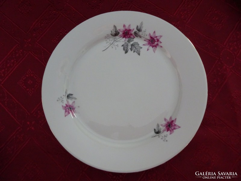 Alföldi porcelán süteményes tányér, lila virággal. Átmérője 19 cm. Vanneki!