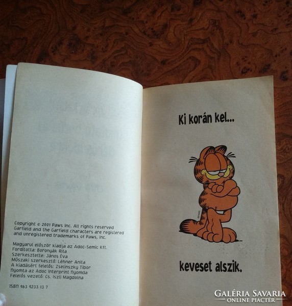 Garfield, Útmutató borús és derűs időkre, alkudható!