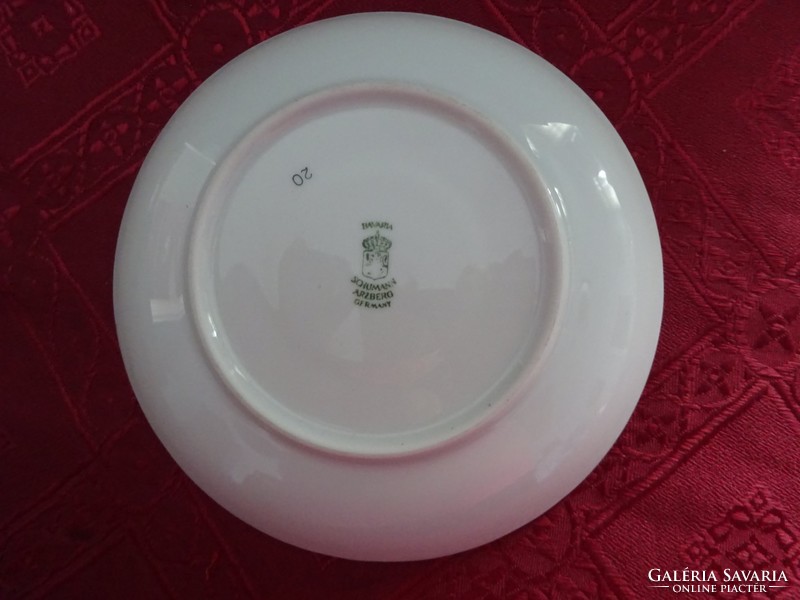 Schumann arzberg German porcelain, coffee cup coaster, diameter 14.5 cm. He has!