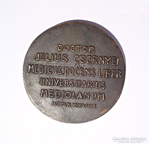 Doctor Julius Cernyei 1938, olasz bronz plakett