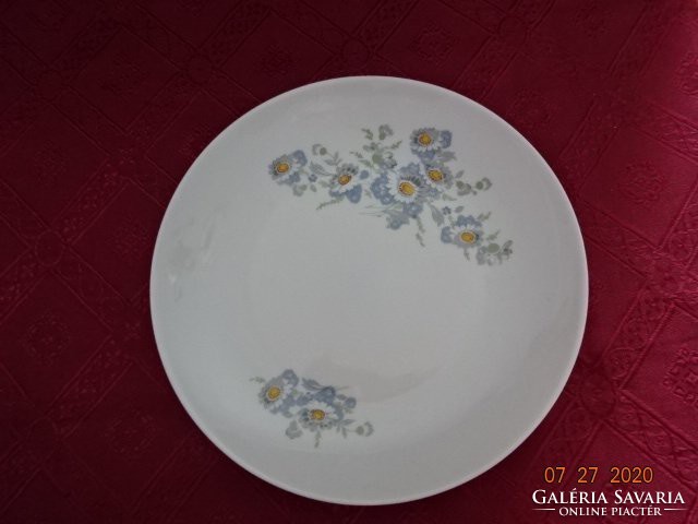 German porcelain flat plate with daisy pattern. He has!