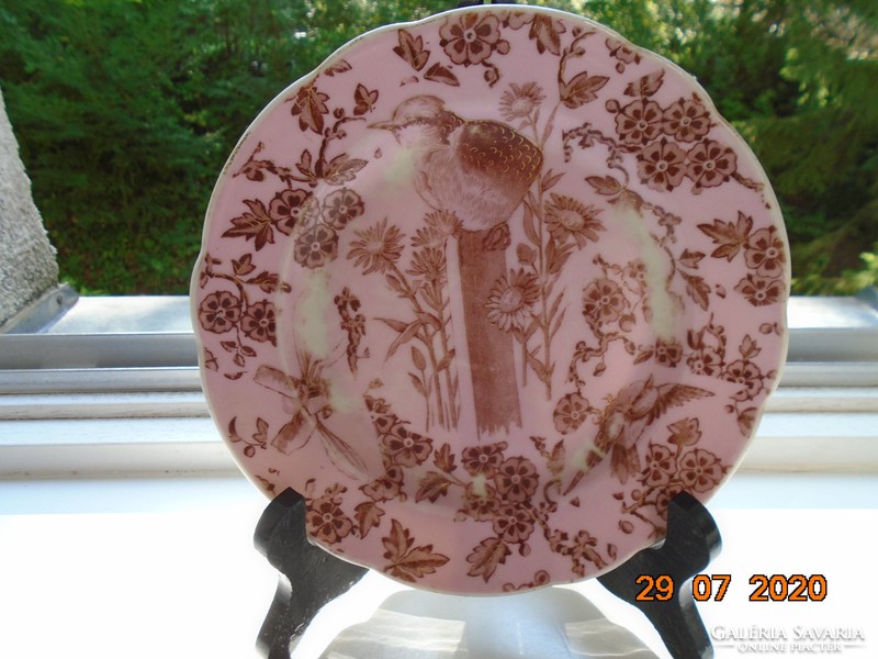Aranykontúrozott,antik,egyedi festéssel,madár rovar mintás rózsaszín tányér