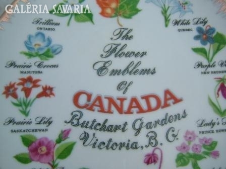Japanese decorative plate: Canadian flowers