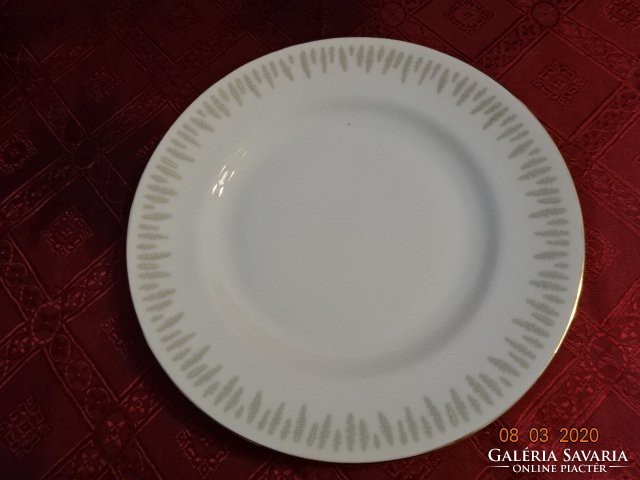 Czechoslovakian quality porcelain plate with gold decoration. He has!