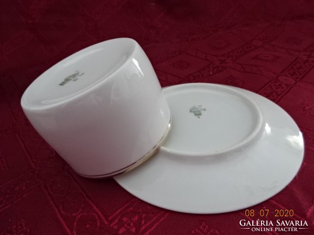 Zsolnay porcelán, antik, pajzspecsétes teáscsésze + alátét. Vanneki!
