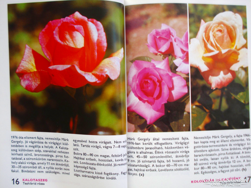 3 db könyv kertészkedőknek: 88 színes oldal a rózsákról, a virágos díszcserjékről és a sziklakertről
