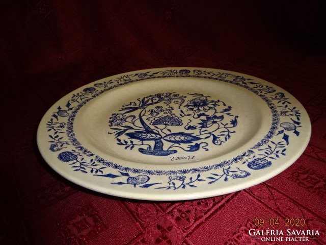 German porcelain onion pattern plate, diameter 25.3 cm. He has!