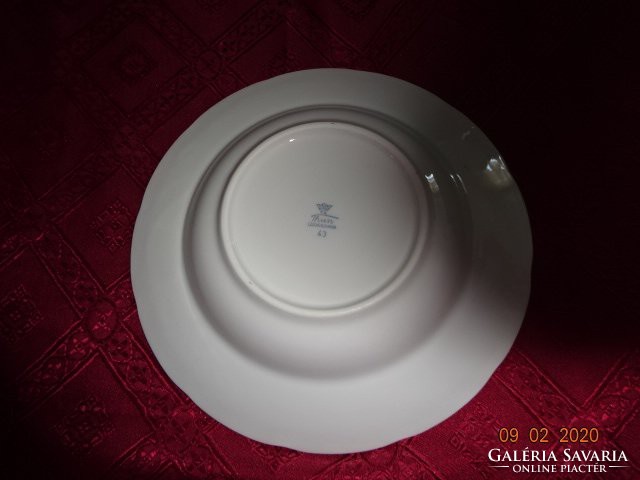 Tk thun Czechoslovak first-class deep plate with a rose pattern. It has great depth. He has!