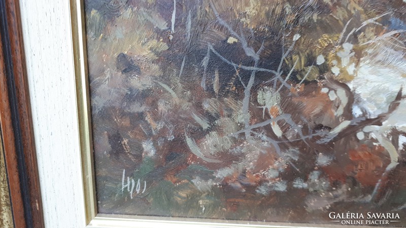 Sipos István gyönyörű olajfestménye, 40x60 cm