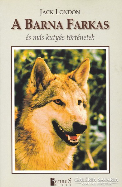 Jack London: A barna farkas és más kutyás történetek (RITKA) 2000 Ft