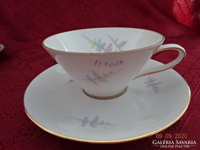 Pmr Bavarian German porcelain tea cup + saucer, saucer diameter 15 cm. He has!