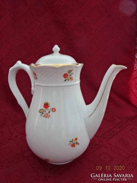 Tk thum Czechoslovakian quality teapot. Its height is 21 cm. He has!