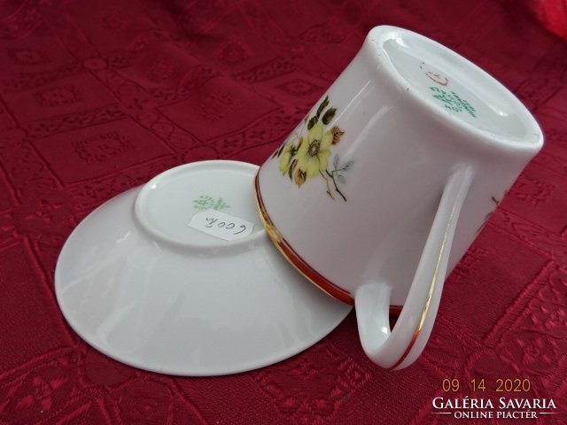 Höllóháza porcelain, yellow floral milk spout with saucer. He has!