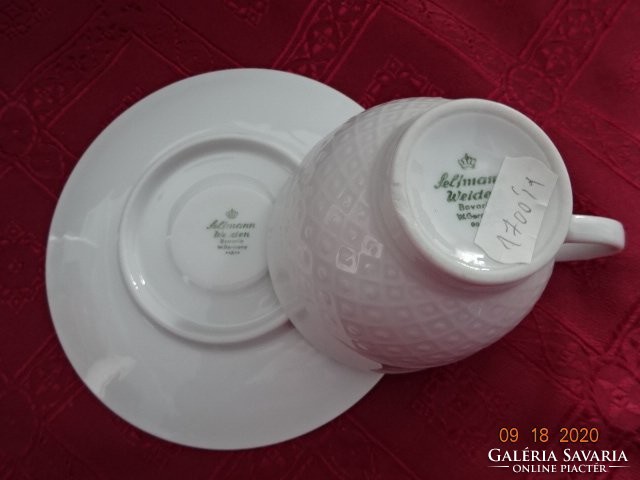 Seltmann Weiden Bavarian German porcelain tea cup + saucer, snow white, printed pattern. He has!