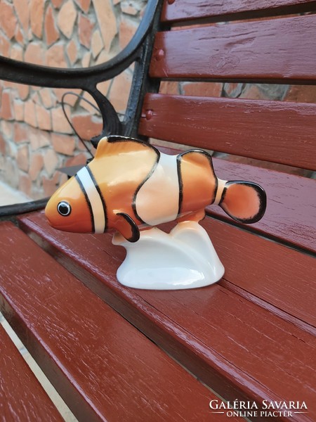 Rare Hóllóháza porcelain clownfish, fish, collector's piece, piece of nostalgia, in silent pursuit.