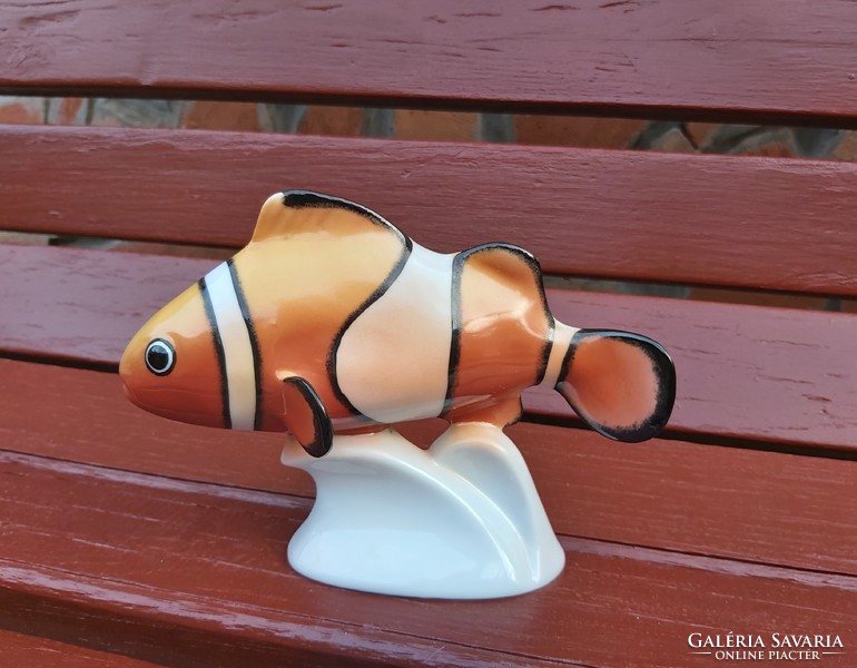 Rare Hóllóháza porcelain clownfish, fish, collector's piece, piece of nostalgia, in silent pursuit.