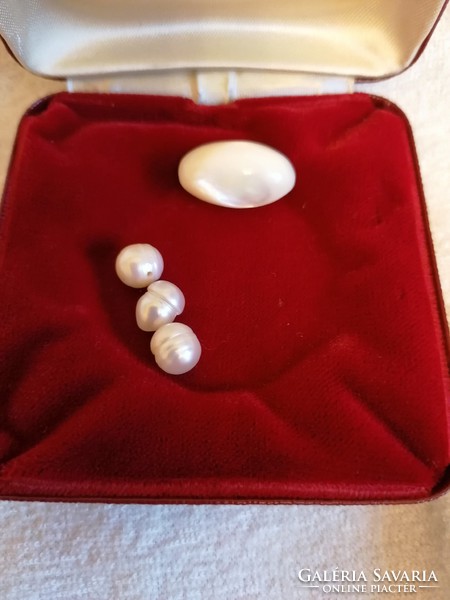 3D real pearls and a large oval polished shell