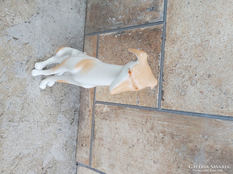 Drasche porcelain dog, nipp, figure