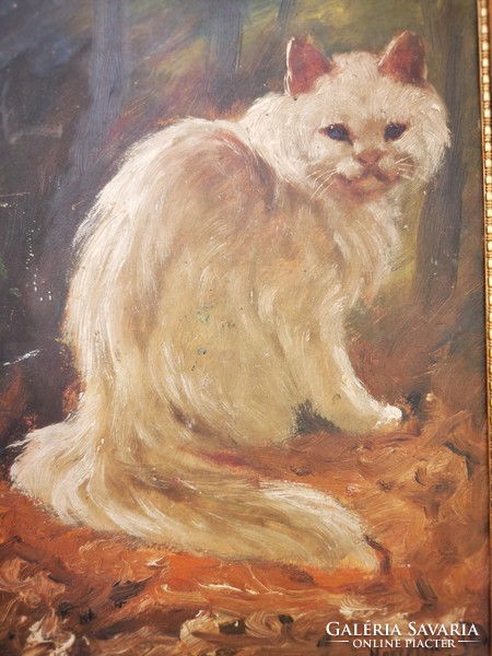 Dénes Mesterházy: white Persian cat,