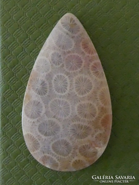 Natural fossil coral. Polished cabochon. 8 Grams