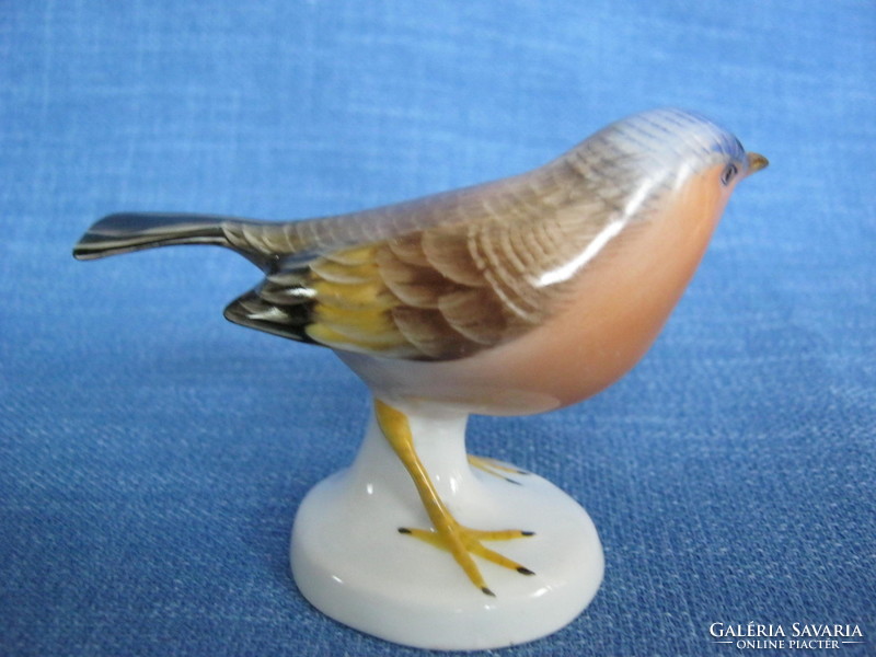 Porcelain bird of Aquincum