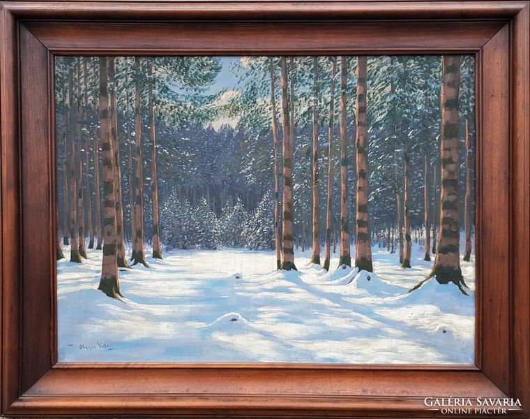 Olgyai viktor / winter forest
