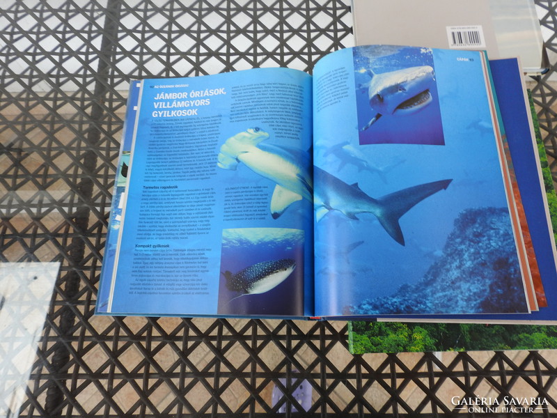 Reader's Digest határtalan természet : Az óceánok világa / A növények ereje / Esőerdők /