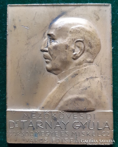 József Kún: dr. Plaque of Gyula Tarnay 1913