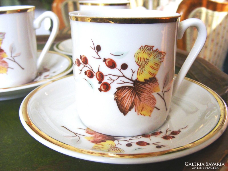 Rare! Ravenhouse mocha, coffee set with autumn patterned decor
