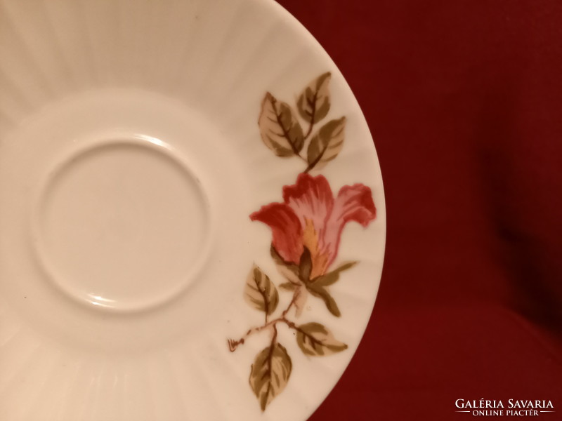 BFr  Ritka német Doria kézzel festett porcelán csésze alátét tányérral