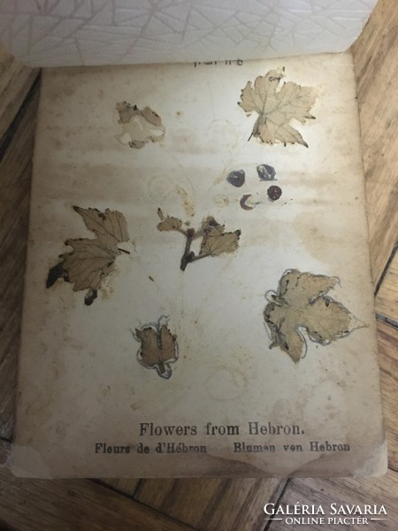 A szentföld virágai meseszép fa borítású könyv az 1950-es évekből
