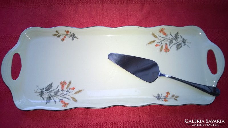 Symptomatic mcp cake tray with handles - without cake spatula