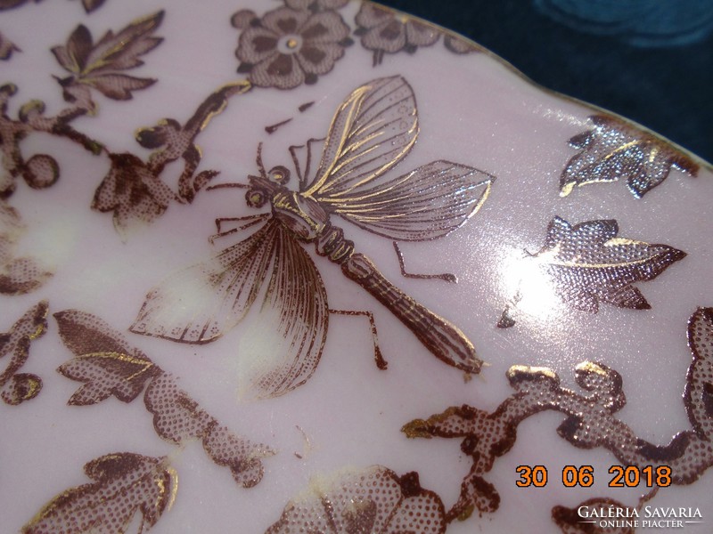 Special pink glazed gold contoured antique bird insect pattern plate