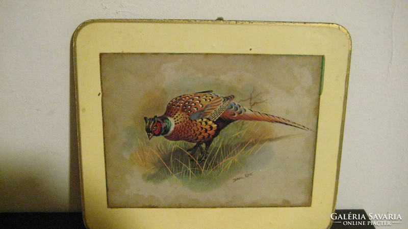 Basil ede: eye-catching pheasant, print