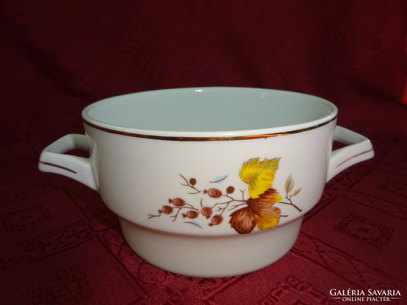 Raven house porcelain, large bowl with two handles and goulash soup. He has!