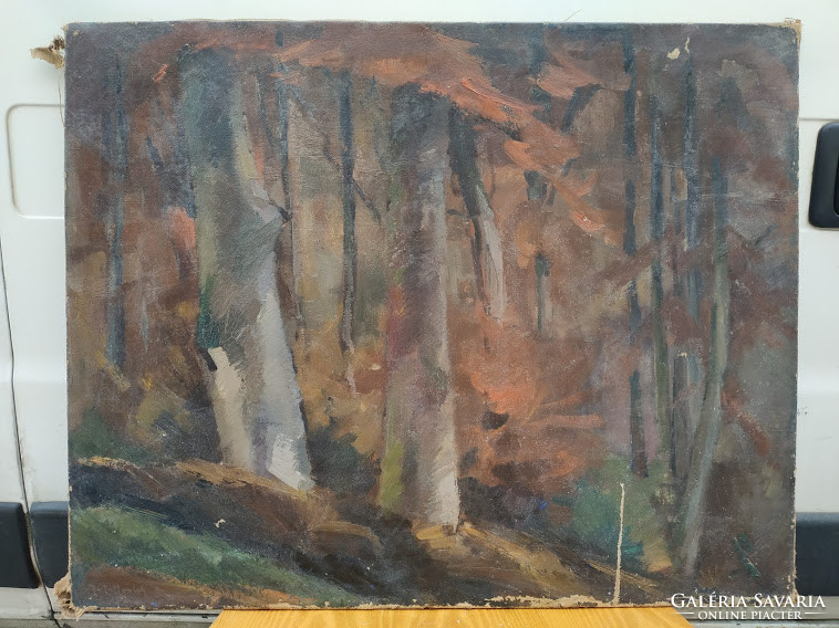 Antique oil on canvas signed forest detail landscape painting without frame nr 98.